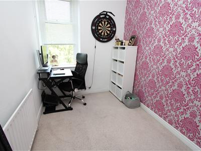 Picture 13